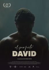 Doskonały Dawid